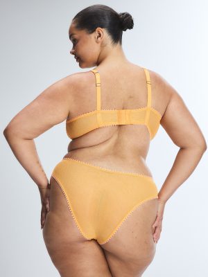 Mesh Around Cheeky Panty