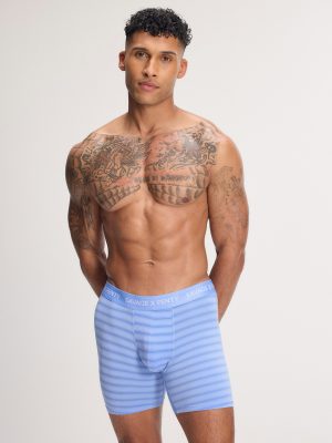 Sheer Line Boxer Briefs