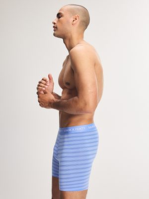 Sheer Line Boxer Briefs