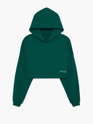 Essential Terry Scope Logo Cropped Hoodie